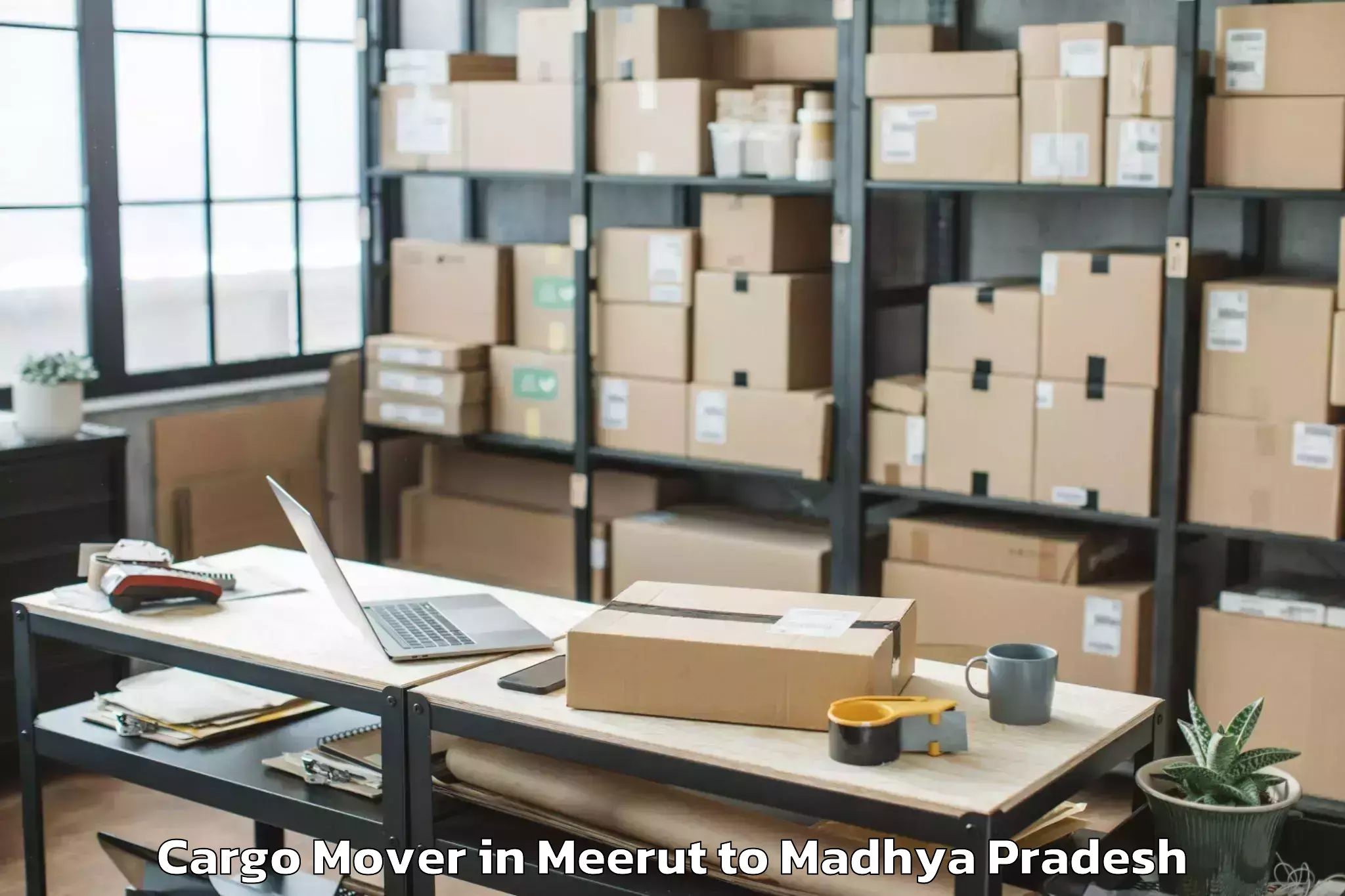 Top Meerut to Khajuraho Group Of Monuments Cargo Mover Available